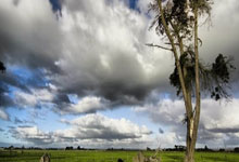 国安召开2025青训合作网点俱乐部会议，青训合作机构已达33家.